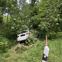 IMG_3447.jpg